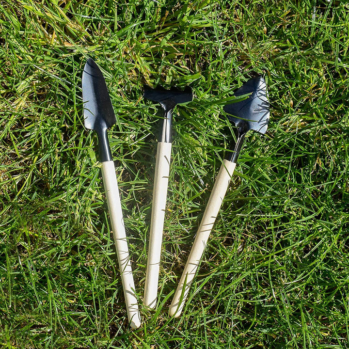 3 Piece Mini Gardening Tool Set