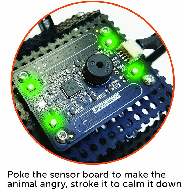Binary Bots Spider Build Kit