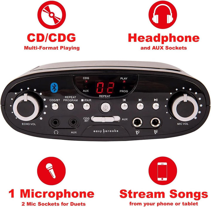 Professional Karaoke Machine