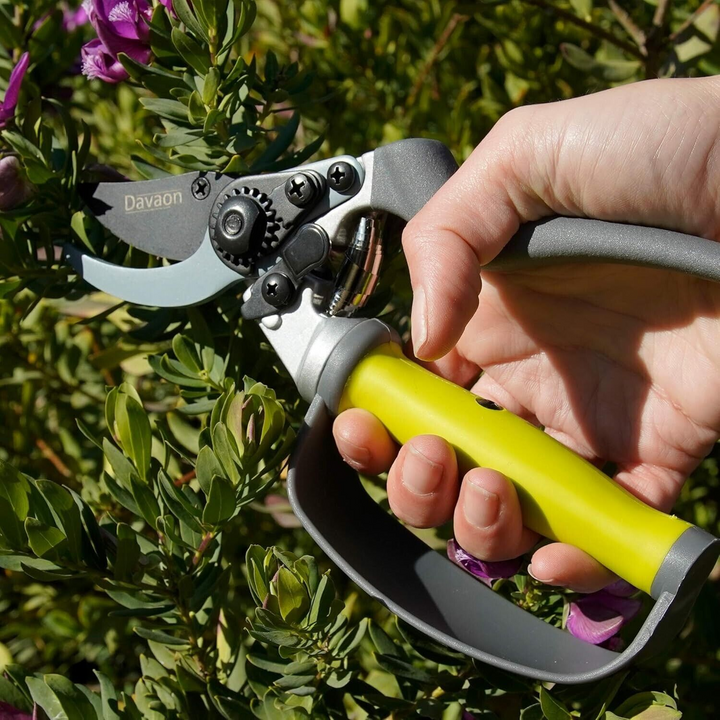 Davaon Pro Bypass Secateurs