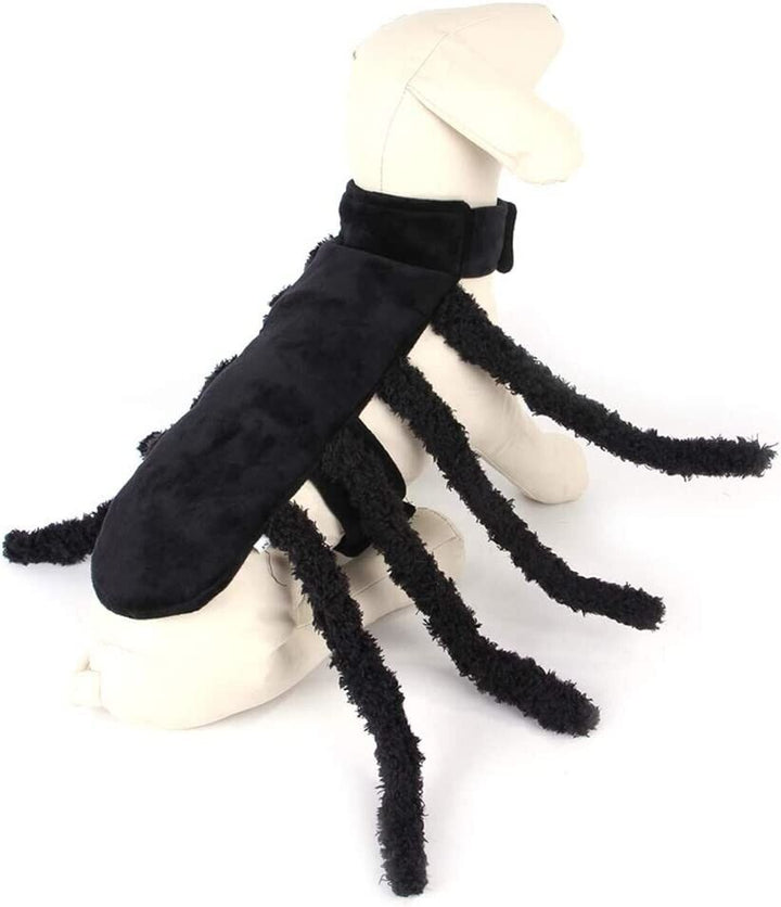 Small Spider Pet Accessory