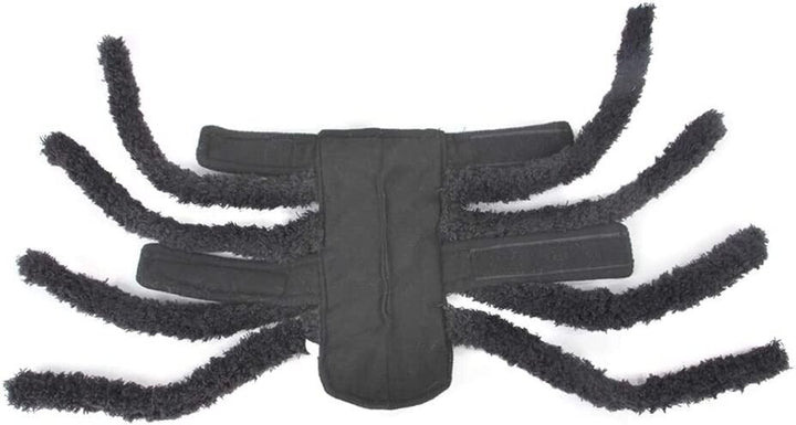 Small Spider Pet Accessory