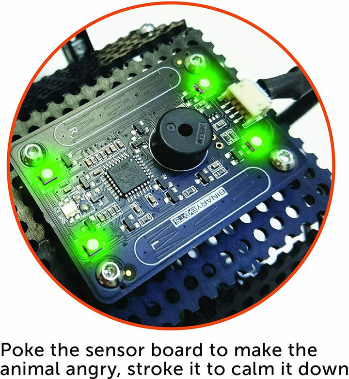 Binary Bots Spider Build Kit