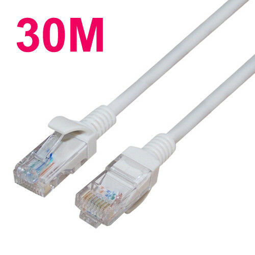 30m Lan Cat5E RJ45 Ethernet Cable