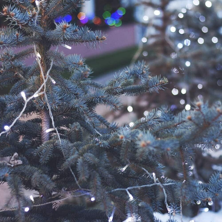 Starker 300 LED Lights