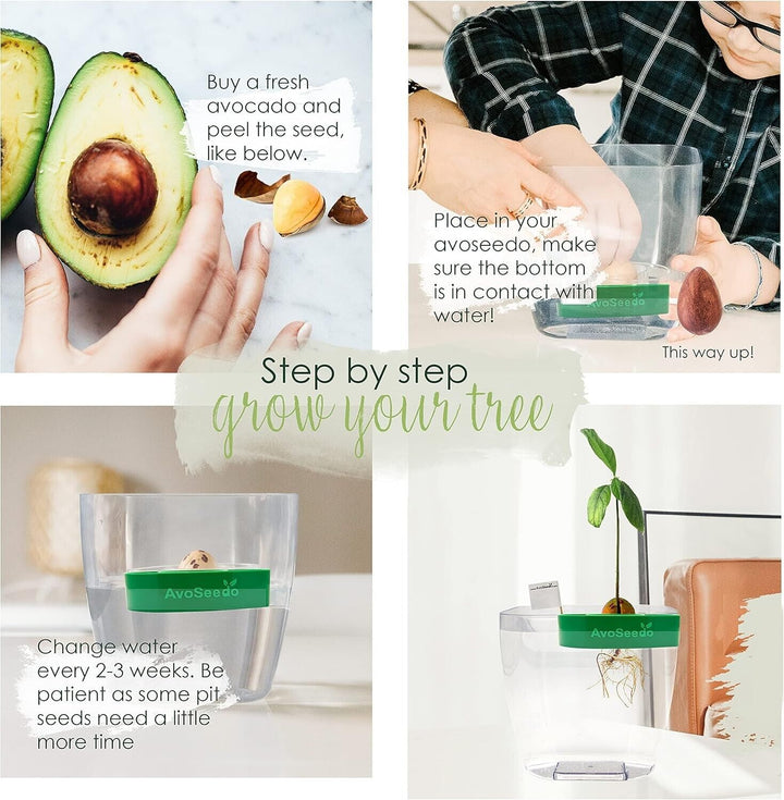 AvoSeedo Avocado Grower