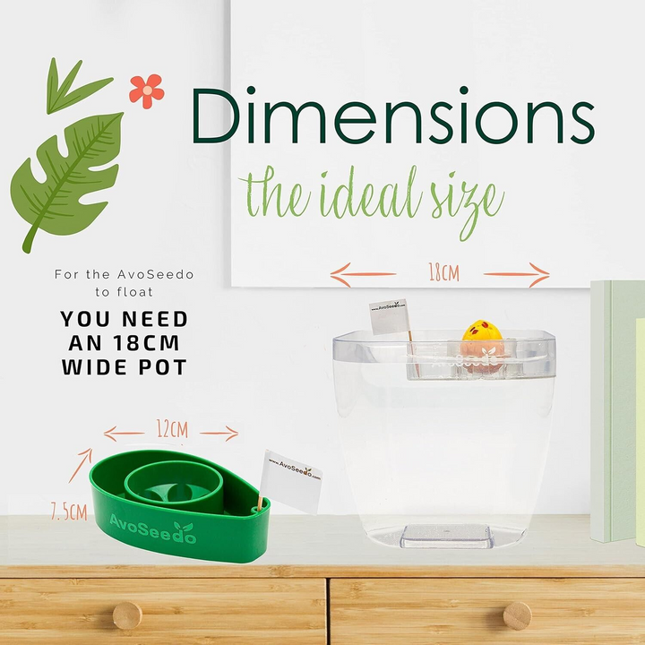 AvoSeedo Avocado Grower