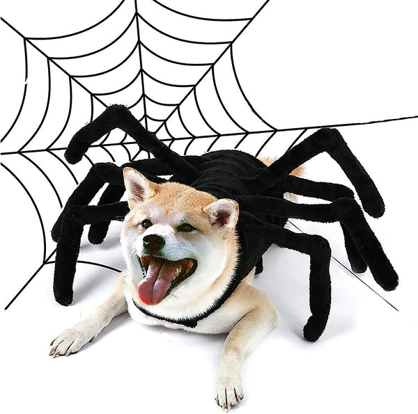 Pets Costume for Dogs Cats Medium Halloween Supplies with Legs Fancy Dress