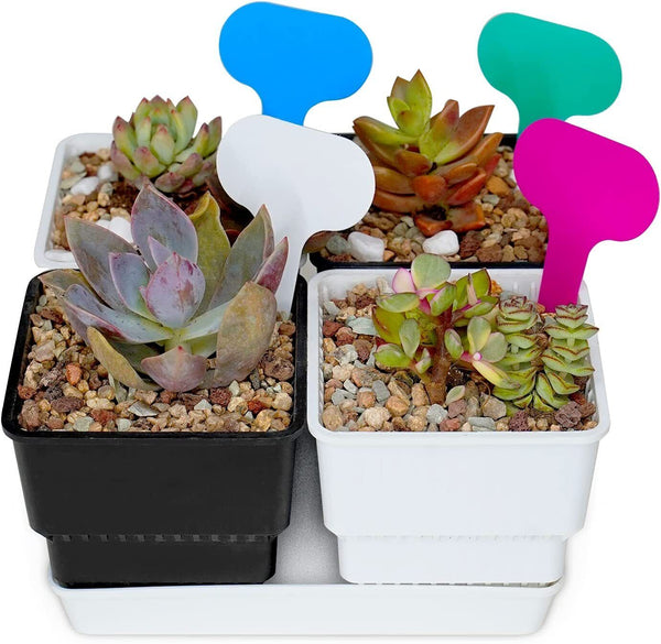Plant Pots Indoor Outdoor Seedlings Root Plastic Saucer Tray Growing Hydroponic