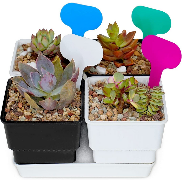 Small Indoor Square Plastic Plant Pots