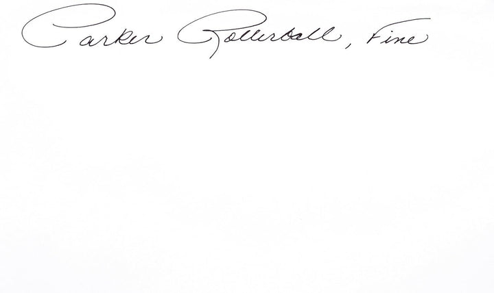 Parker Premier Titanium Rollerball Pen