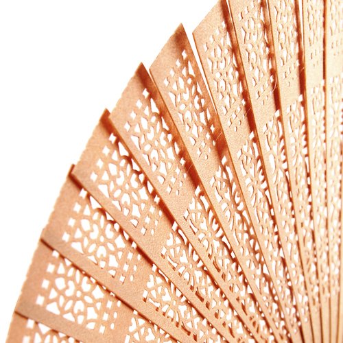 Sandalwood Chinese Style Folding Fan