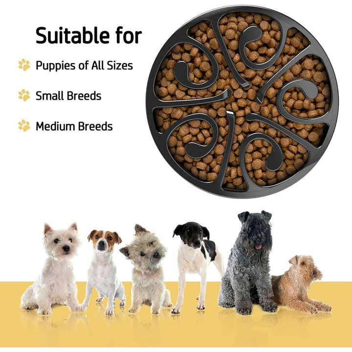 Small Black Slow Feeder Dog Bowl