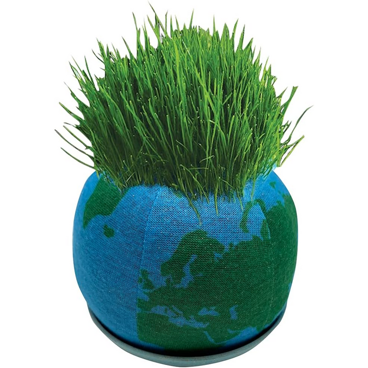 Grow Your Own Green Earth Plant
