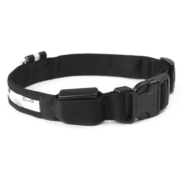 Flashing LED Dog Collar