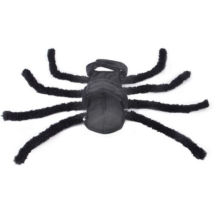 Small Spider Pet Accessory