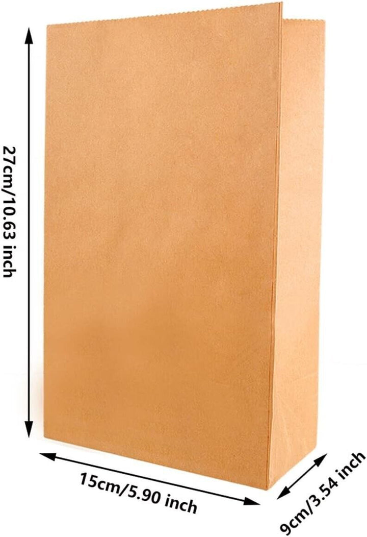 60 Brown Paper 27cms Craft Bags