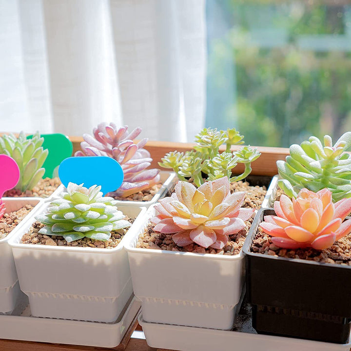 Small Indoor Square Plastic Plant Pots