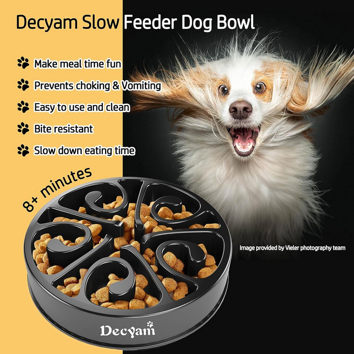 Small Black Slow Feeder Dog Bowl