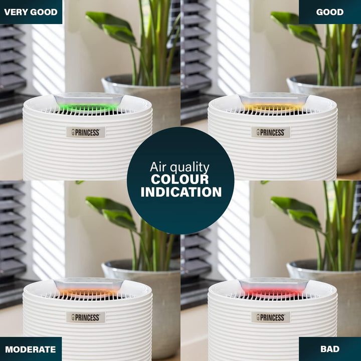 Princess WiFi Smart Air Purifier