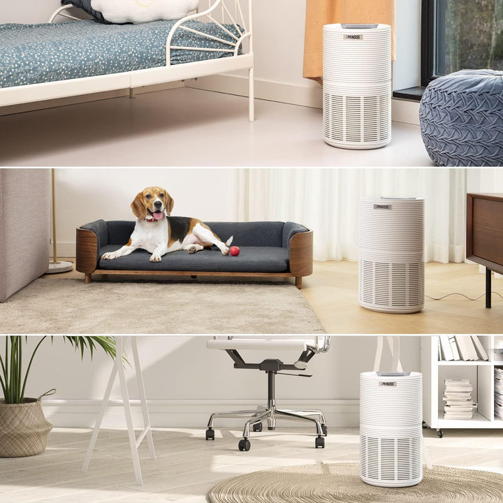 Princess WiFi Smart Air Purifier