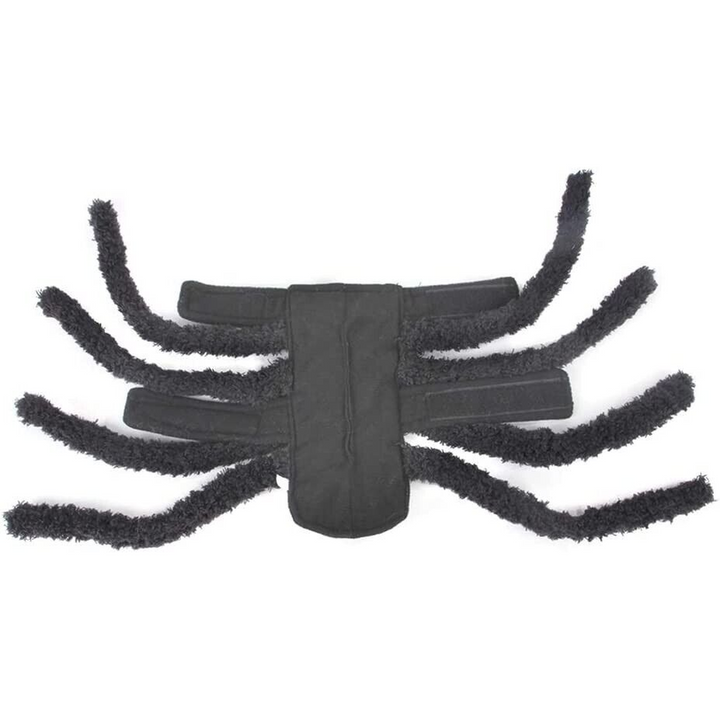 Small Spider Pet Accessory