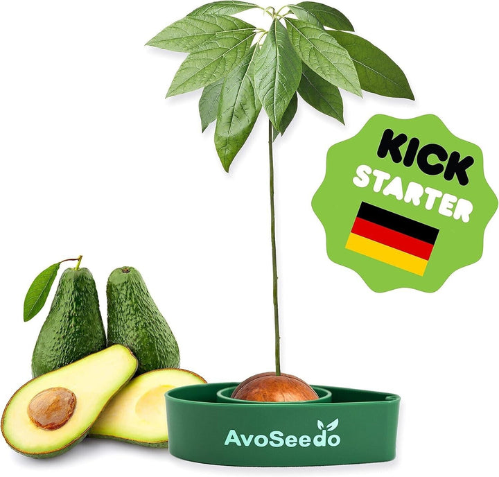 AvoSeedo Avocado Grower