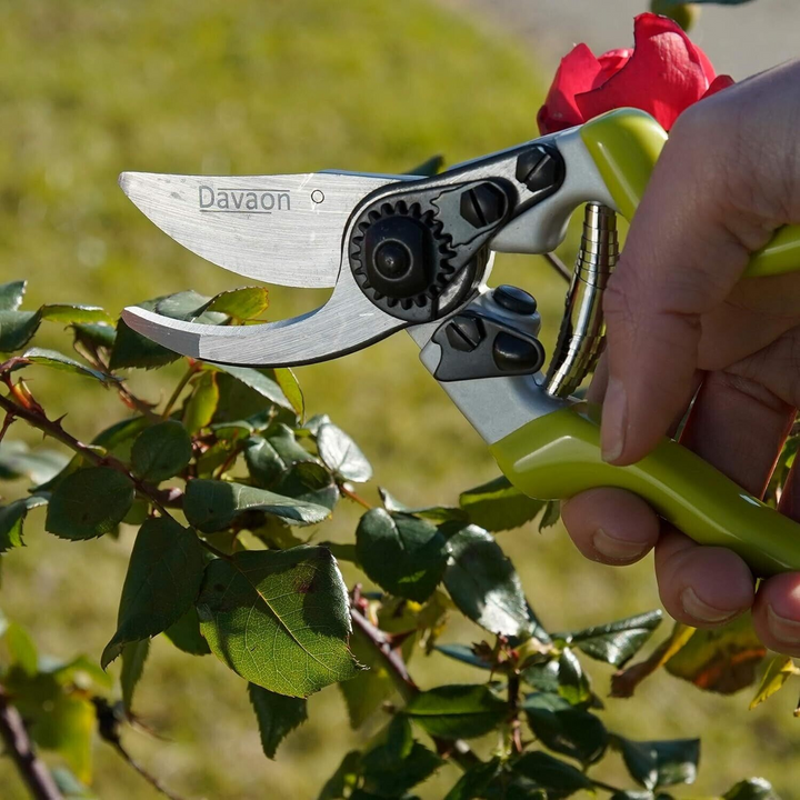 Davaon Bypass Secateurs