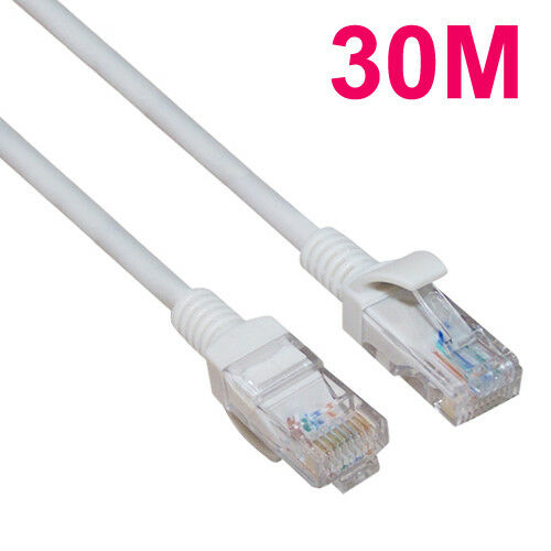 30m Lan Cat5E RJ45 Ethernet Cable