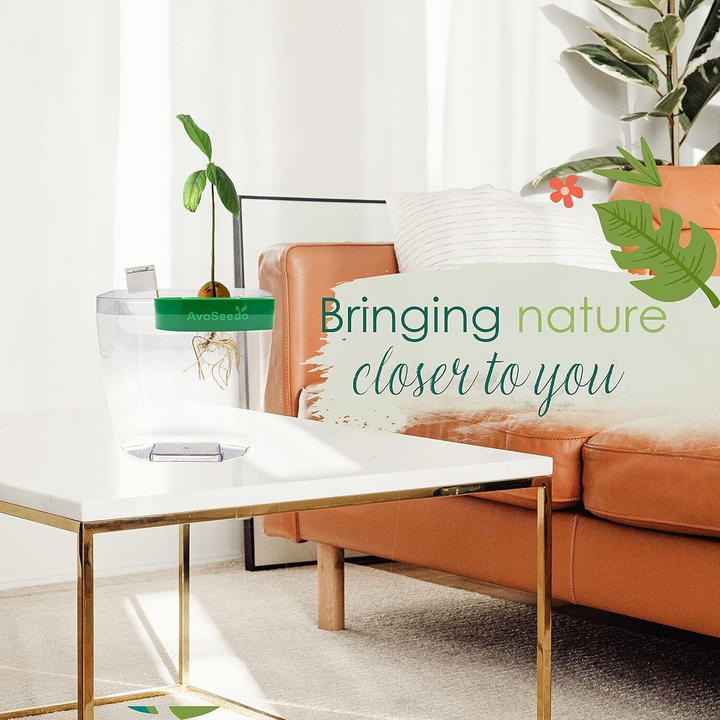 AvoSeedo Avocado Grower