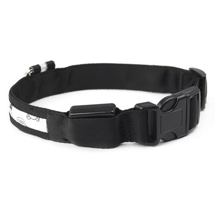 Flashing LED Dog Collar