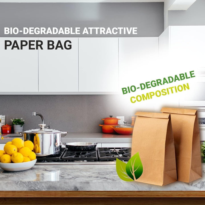 60 Brown Paper 27cms Craft Bags