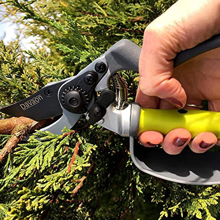 Davaon Pro Bypass Secateurs