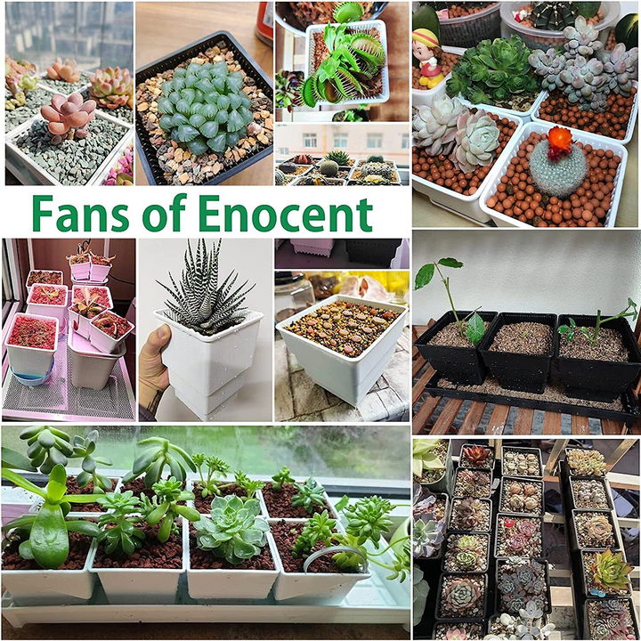 Small Indoor Square Plastic Plant Pots