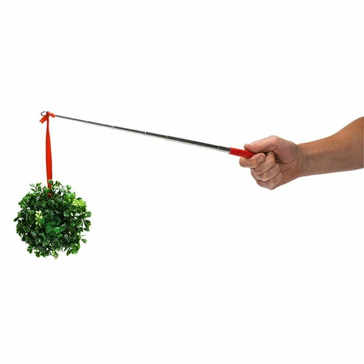 Extending Mistletoe