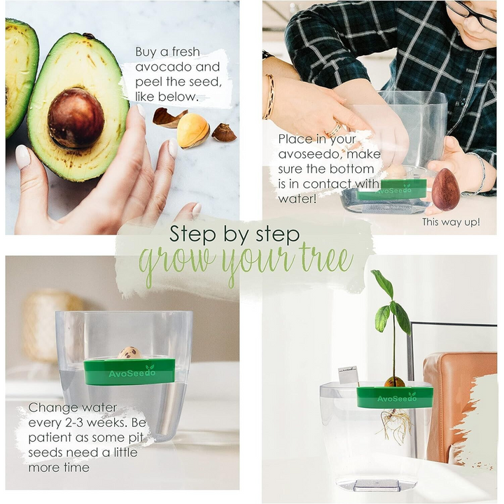 AvoSeedo Avocado Grower
