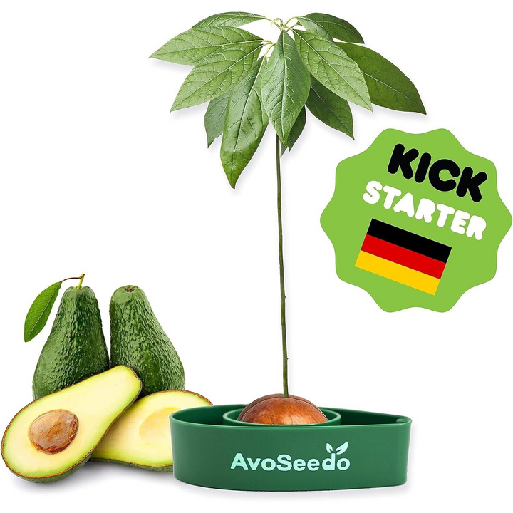 AvoSeedo Avocado Grower