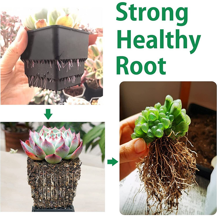 Small Indoor Square Plastic Plant Pots