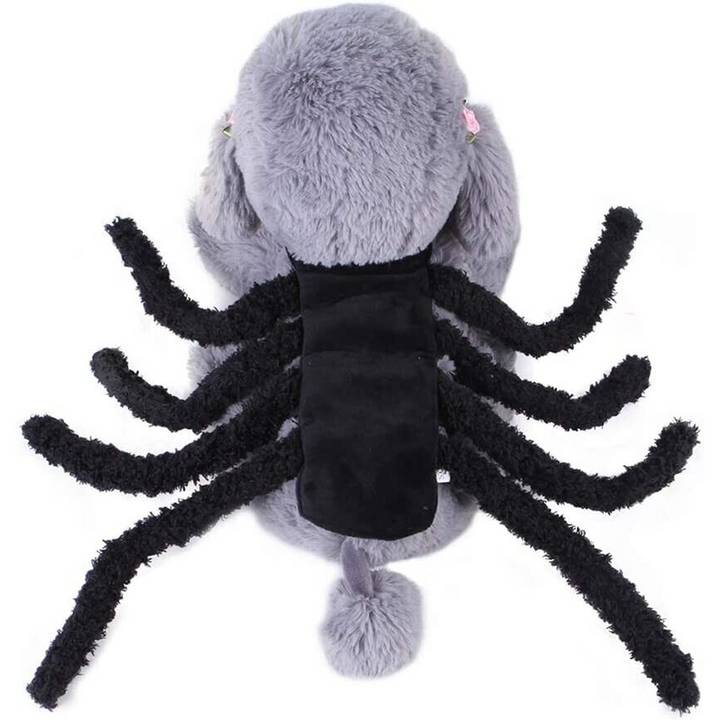 Small Spider Pet Accessory