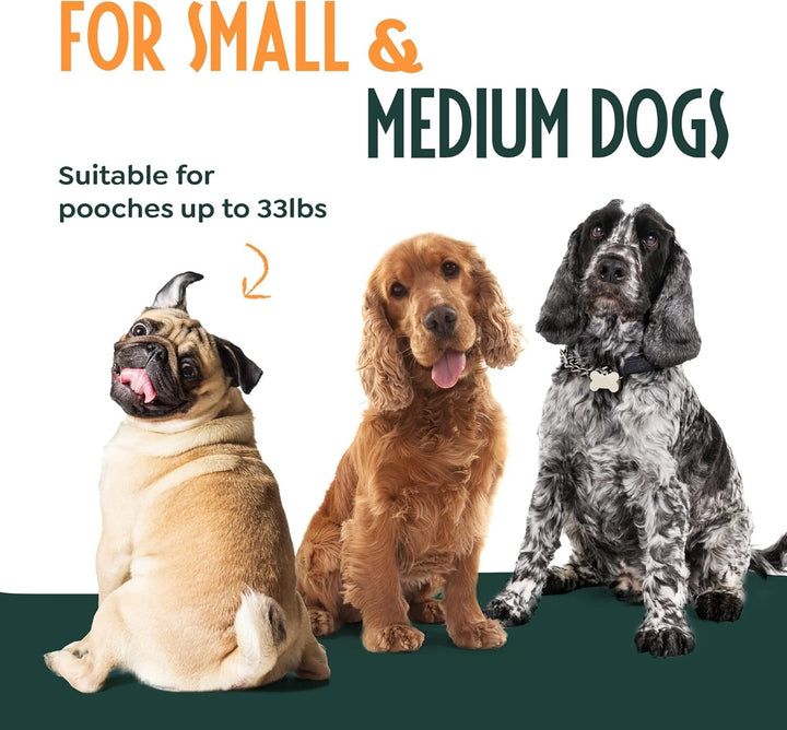 Blue Simply Natural 3m Dog Lead