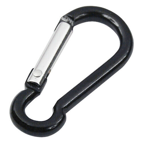 5 Coloured Metal Carabiner Keyrings
