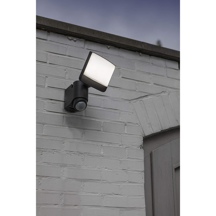 Lumin Motion Sensor 500 LUMEN 5000K Solar Light