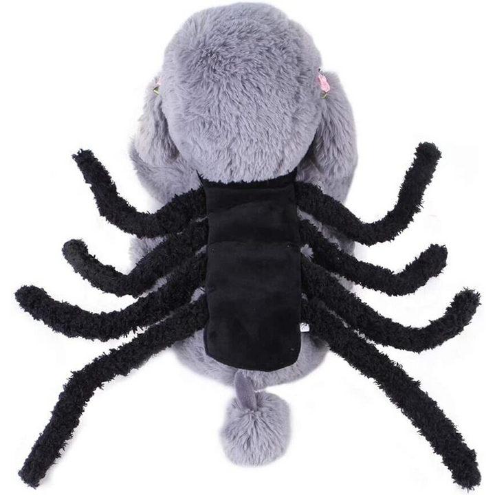 Small Spider Pet Accessory