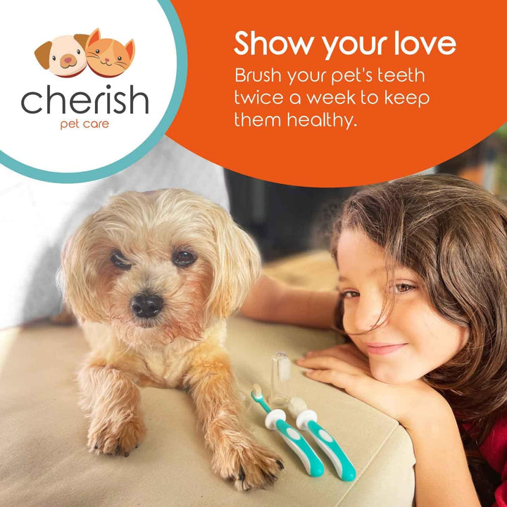 Pet Dog Cat Toothbrush Kit