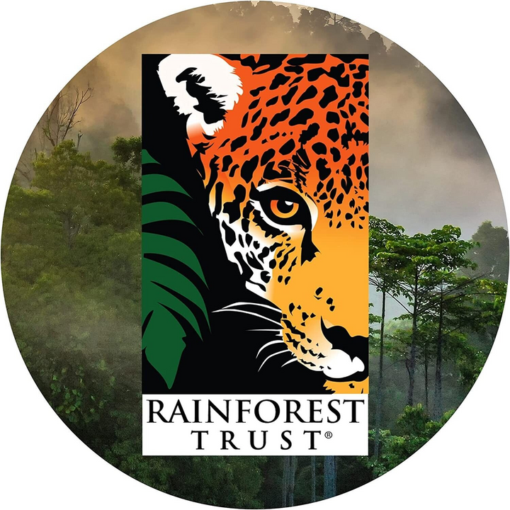 Selfless 30ml Salicylic Acid Sea Kelp Serum