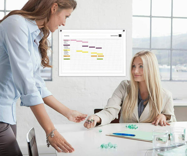 Exaplanner Project Management Magnetic Wall Planner