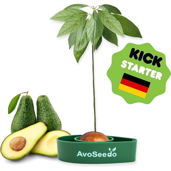 AvoSeedo Avocado Grower