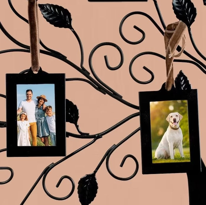Family Tree Photo Frame & 6 Hanging Picture Frames